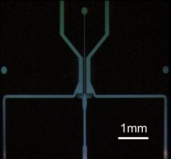 Figure 3: A four inch PTFE wafer, with a metal mask,
      showing deep-etched microfluidic ducts (top). Fine detail of the
      microfluidic duct system on this wafer is also shown (bottom).