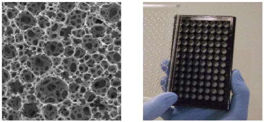 Fig. 1 Scanning electron micrograph of Alvetex<sup>®</sup>
      scaffold (left). Example of a 96-well plate product containing Alvetex<sup>®</sup>
      3D culture technology (right).