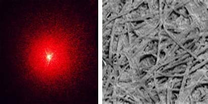 Fig 2: Laser speckle pattern from surface roughness