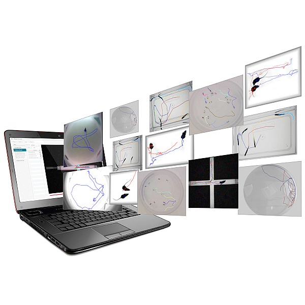 Figure 1: The PhenoTracker software developed by Actual Analytics Ltd