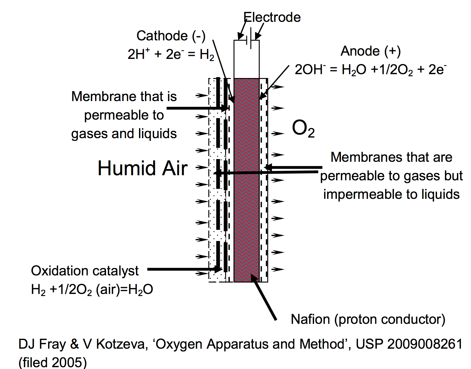Figure 1. Diagram of Natrox™ oxygen generator showing, on the right, the electrochemical cell that produces the oxygen from water in the membrane and the oxidation catalyst, on the left, where the hydrogen is reacted with oxygen from the air, to produce water that is returned to the membrane.