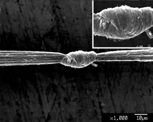 Figure 1. A tight knot in the tough CNT fibre. The knot does not fail prematurely under tension.