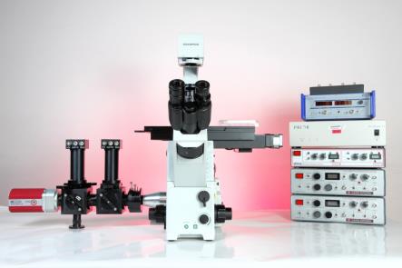 Figure 2: Clyde Biosciences (left) the CellOPTIQ instrument; (right) proprietary image-analysis software enabling real-time, multiplexed electrophysiological measurements.