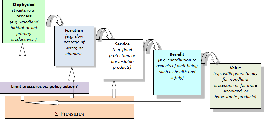 Fig 1: The cascade model (after Potschin and Haines-Young, 2011)