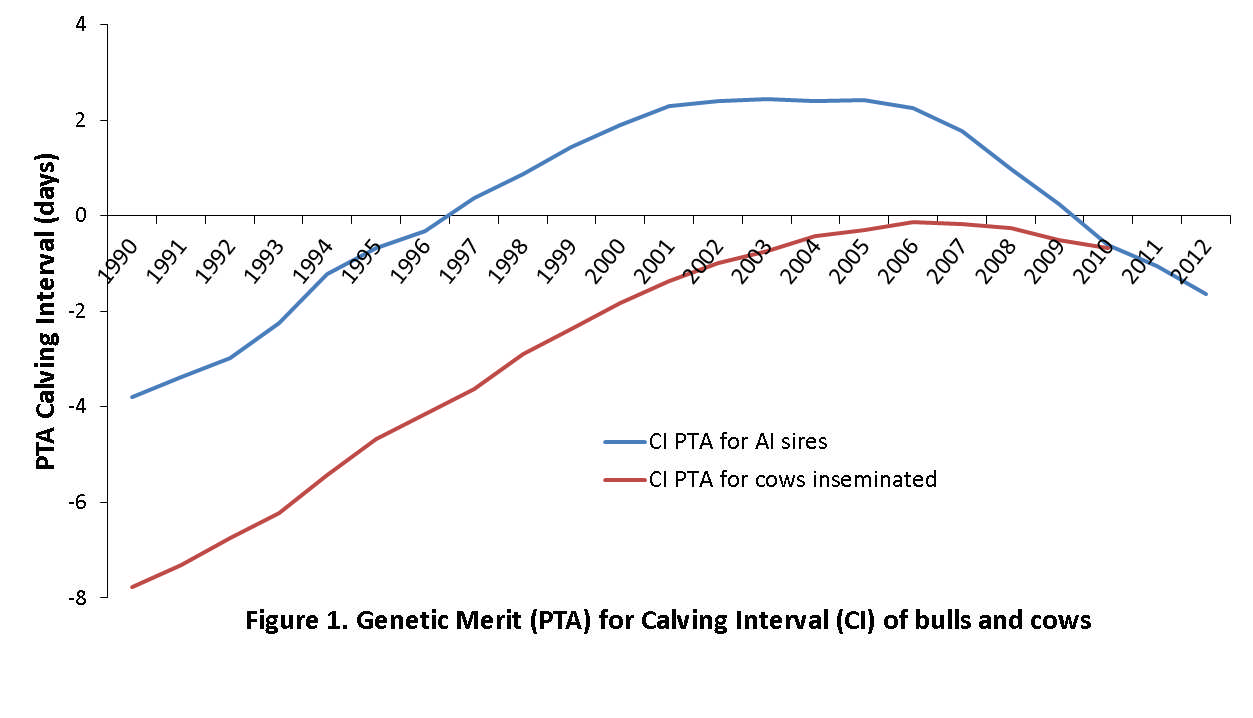 Figure 1: The increasing Calving Interval from 1990-2007
        indicates declining fertility. The Fertility Index and use of new
        dietary formulations has contributed to the rapid improvement in calving
        interval since 2008.