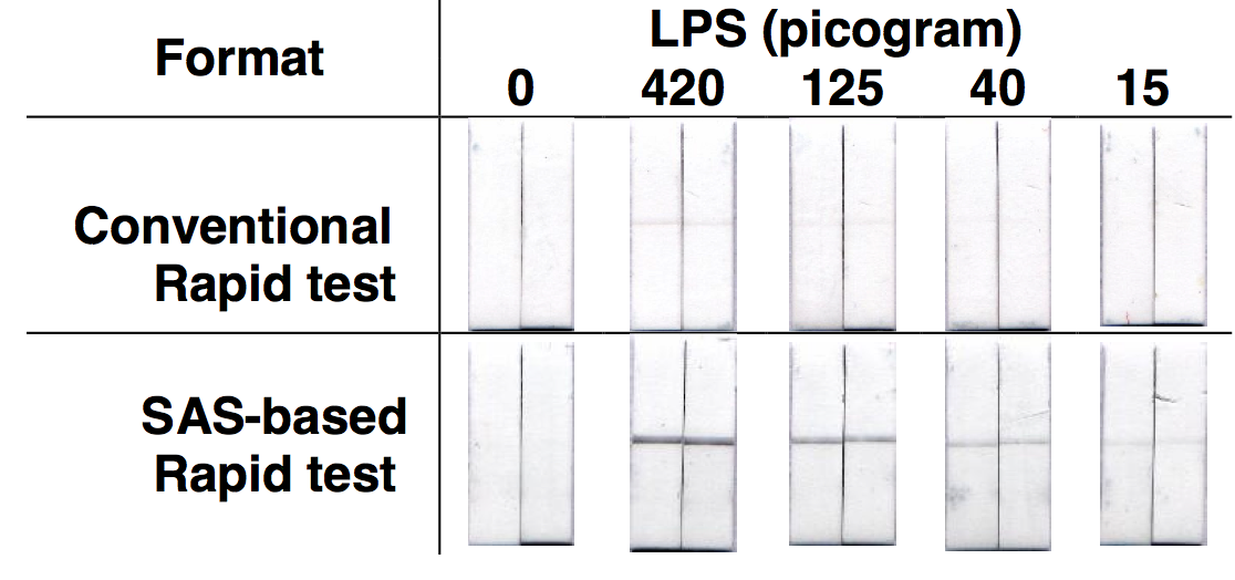 Fig 1 Effect of SAS on sensitivity of Chlamydia lipopolysaccharide (LPS) detection
