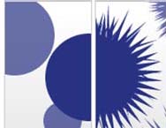 Fig 1: Comparison of shapes of conventional composite (left) and
QTC (right)