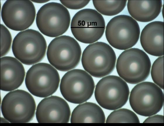 Figure 2: Polymeric microspheres, with a highly uniform
      diameter of 50 microns.