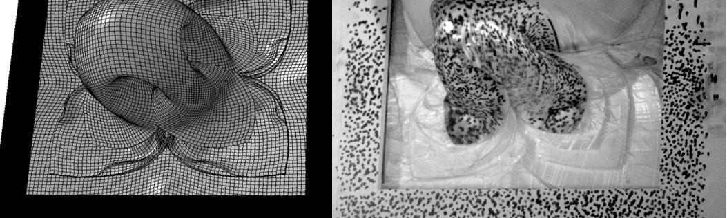 Figure 1: Ballistic impact into Dyneema armour panels at 1km/s with
          60g copper projectile. Left: Improved numerical predictions; Right:
          Experimental test (from Figure 2 test).