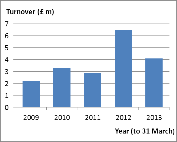 Figure 1: Annual turnover over the REF period