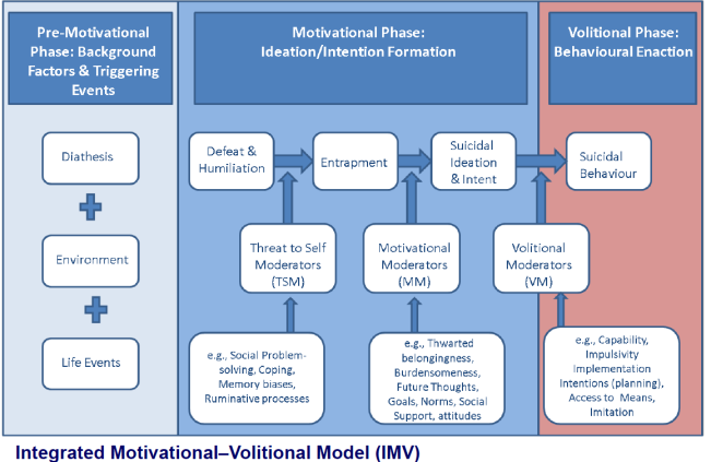 Figure 1. O'Connor's IMV model (left) and a page from Choose Life tool
        based on the model (right)