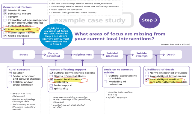 Figure 1. O'Connor's IMV model (left) and a page from Choose Life tool
        based on the model (right)