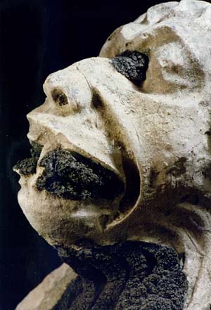 Partially cleaned gargoyle of Lincoln Cathedral<br>
    (source: PhD Thesis M.I. Cooper, 1994)