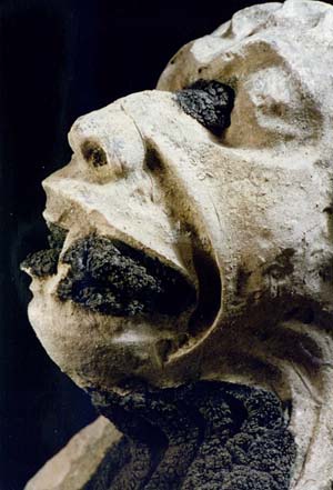 Partially cleaned gargoyle of Lincoln Cathedral<br>
    (source: PhD Thesis M.I. Cooper, 1994)